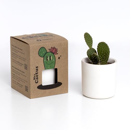 Resetea | Mrs. Cactus | Kit de cultivo de cactus
