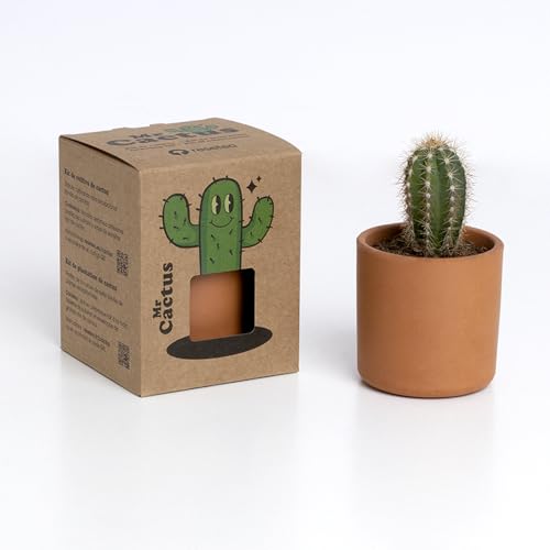 Resetea | Mr. Cactus | Kit de cultivo de cactus