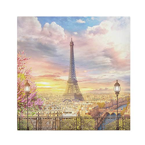 TropicalLife HaJie Servilletas de papel de tela de poliéster satinado para mesa de niños, de la Torre Eiffel de Paris, servilletas reutilizables de 50,8 x 50,8 cm, 6 unidades